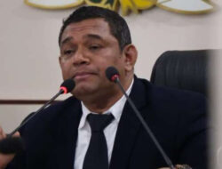 Pakar Hukum Dorong Pembentukan RUU Transisi Kepresidenan
