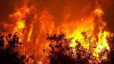 BPBD Bintan Tangani Tujuh Kasus Karhutla Seluas 27,5 Hektare