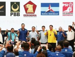 TKN Prabowo-Gibran Resmi Diumumkan, Ini Daftar Namanya