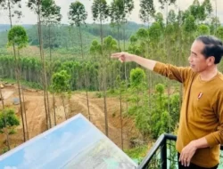 Prabowo Klaim Masyarakat Kalimantan Setuju dengan Pembangunan IKN