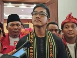 Lembaga Survei Sebut Kaesang Masuk Bursa Pilwalkot Solo 2024