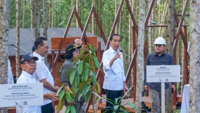 Dampingi Presiden di IKN, Menteri LHK Tanam Pohon Bersama Masyarakat