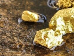 Mantap, Indonesia Bisa Cetak Emas Batangan Hingga 50 Ton per Tahun Tanpa Bantuan Jepang