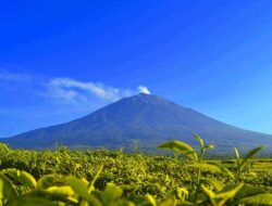 Warga di Sekitar Gunung Lewotobi Laki-Laki Diimbau Jauhi Radius Lima KM
