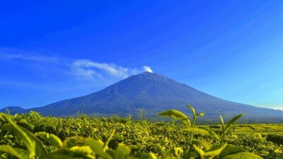 Gunung Lewotobi Hembuskan Abu Setinggi 600 Meter
