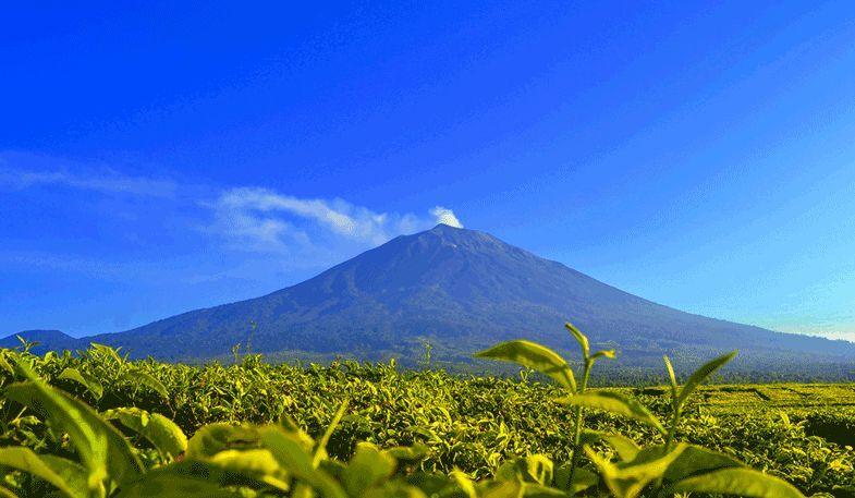 Gunung Lewotobi Hembuskan Abu Setinggi 600 Meter
