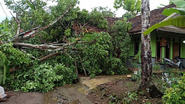 Ciamis Diterjang Puting Beliung, 117 Rumah Dilaporkan Rusak 