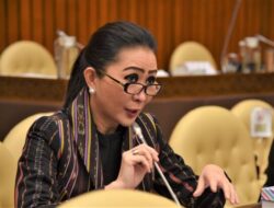 Buntut Tingginya Kematian Satwa, Legislator Usul Ada Audit Tahunan Kebun Binatang