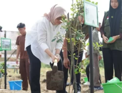 KLHK Lanjutkan Program Penanaman Pohon Serentak di Indonesia