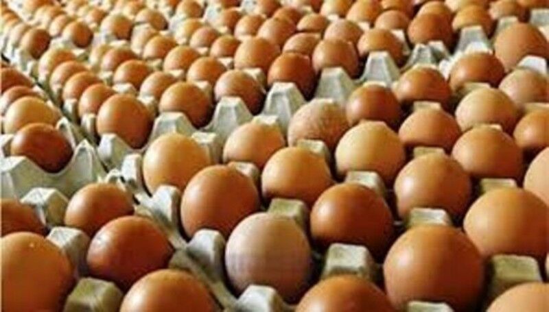 Bapanas Ingatkan Dampak Rendahnya Harga Telur di Tingkat Produsen