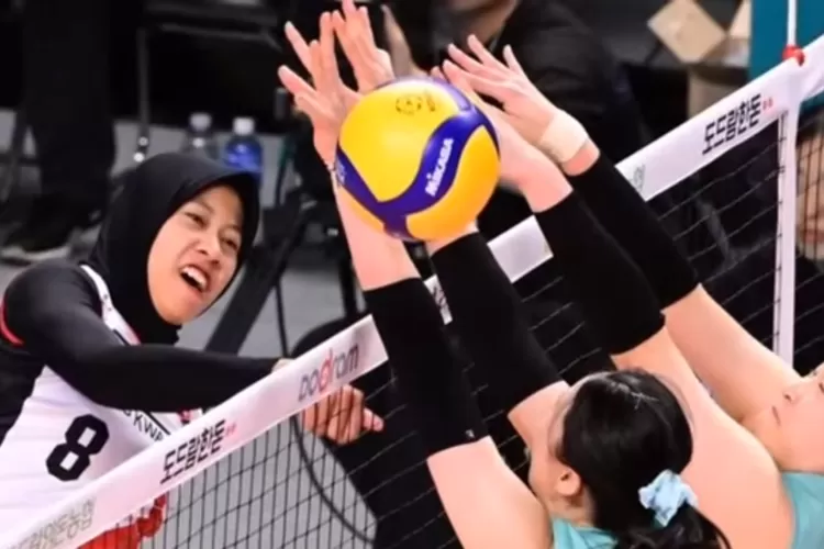 Dihajar Megawati Cs di Liga Voli Korea, Begini Reaksi Pelatih Hillstate