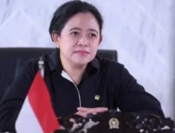 Puan Dorong Adanya Gencatan Senjata Permanen di Gaza Lewat Forum Anggota MIKTA