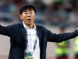 Revolusi Shin Tae-yong, Transformasi Progresif Wajah Timnas Indonesia
