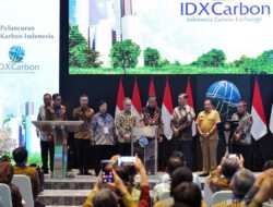 Keren, Kaltim Jadi Provinsi Pertama di Indonesia yang Punya Peraturan untuk Aktivitas Ekonomi Karbon
