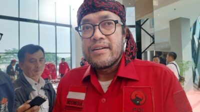 pdip