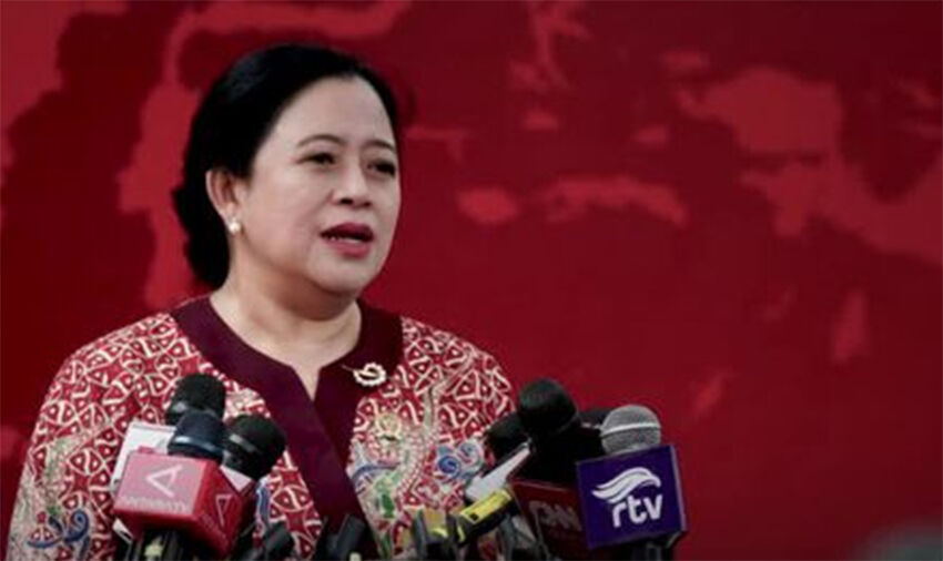 puan dim muda