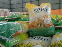 Bulog Tegaskan Salurkan 290.016 Ton Beras SPHP