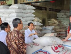 Jokowi Klaim Realisasi Impor Beras Bulog Tak Capai 5 Persen dari Total Keburuhan Nasional