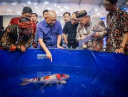 Agar Tembus Pasar Global, Menkop: Ekosistem UMKM Ikan Hias harus Kuat dan Inovatif