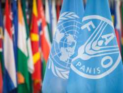 Beri Solusi dan Kontribusi Majukan Sektor Pangan di Dunia Kementan dapat Penghargaan FAO