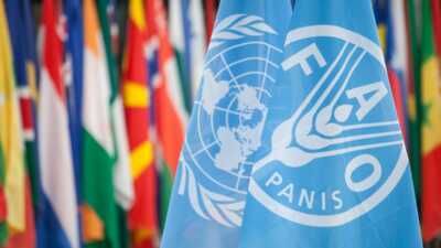 Beri Solusi dan Kontribusi Majukan Sektor Pangan di Dunia Kementan dapat Penghargaan FAO