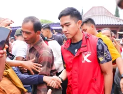 PILKADA 2024 — Meski Peluang Menang di Jateng Cukup Tinggi, Kaesang Belum Tentu Akan Maju