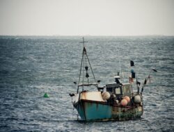 Nelayan Pesisir Tangerang Kembali Bisa Melaut Setelah Sebagian Pagar Laut Dibongkar