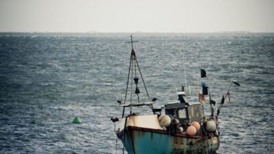 Nelayan Pesisir Tangerang Kembali Bisa Melaut Setelah Sebagian Pagar Laut Dibongkar