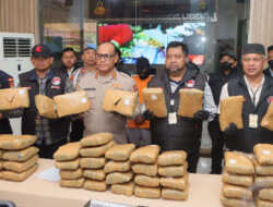 Polres Jakarta Utara Gagalkan Peredaran 77 Kilogram Ganja