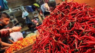 Saling Pasok Antardaerah Bisa Turunkan Harga Cabai
