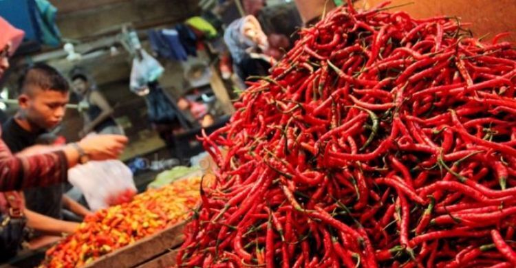 Harga Cabai Merah Secara Nasional Masih di Bawah Batas HAP
