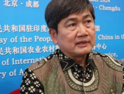 Tiru China, Kemendes Harap Dana Desa Bisa untuk Usaha Produktif