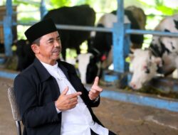 KPSP Setia Kawan: Miliaran Rupiah dari Hasil Memerah Susu Sapi