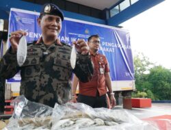 Sebanyak 116 Kapal Diamankan Saat Melakukan Penangkapan Ikan Ilegal di Perairan Indonesia