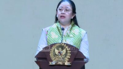 Puan: Parlemen Indonesia Punya Peran Strategis dalam Bangun Kemitraan Global di Kawasan Afrika