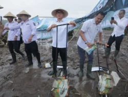 Wujudkan Ketahanan Pangan di Indonesia, BRIN Dorong Penggunaan Nuklir