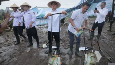 Desa Rancasumur di Serang Bakal Jadi Proyek Percontohan Swasembada Pangan