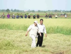 DPR Sebut Pengembangan Lumbung Pangan Nasional di Merauke Sebagai Upaya Strategis Menuju Swasembada Pangan