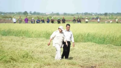 Prabowo Tinjau Lahan Percontohan untuk Lumbung Pangan di Merauke