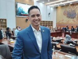 Firnando: BUMN Bukan Hanya Entitas Bisnis tapi Agen Pembangunan Negara
