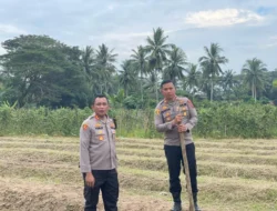 Kementerian Dalam Negeri Mantapkan Persiapan Penanaman Jagung Serentak di Lahan 1 Juta Hektar demi Capai Swasembada Tahun Ini