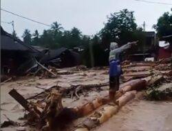 Sebanyak 1.180 Jiwa Terpaksa Mengungsi Akibat Rumah Mereka Diterjang Banjir Bandang di Tapsel