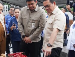 Stok Pangan untuk Kebutuhan Nataru Cukup, Bahkan Hingga Idul Fitri 2025 Tetap Aman