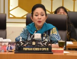 Titiek Soeharto Minta Zulhas Turun Tangan Tindaklanjuti Kasus Beras Oplosan