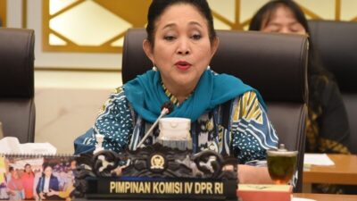 Titiek Soeharto Minta Zulhas Turun Tangan Tindaklanjuti Kasus Beras Oplosan