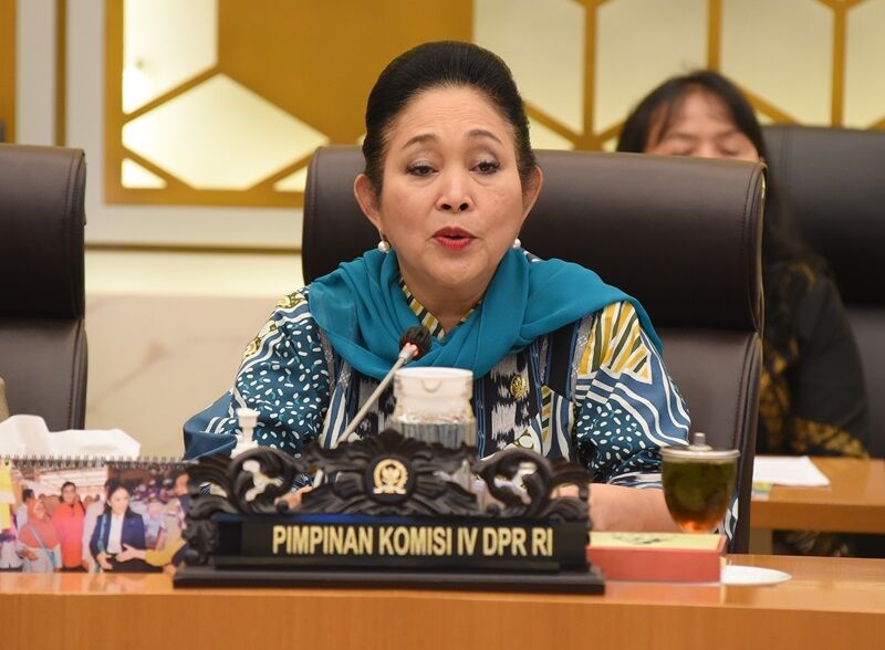 Titiek Soeharto Minta Zulhas Turun Tangan Tindaklanjuti Kasus Beras Oplosan