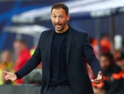 SEPAK BOLA — Tampil Mengecewakan di Piala Eropa, Pelatih Timnas Belgia Domenico Tedesco Dipecat