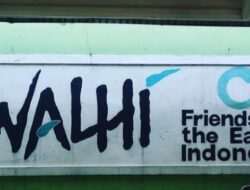 Walhi Minta Pemerintah Stop Aktivitas Perusak Hutan di Kalbar