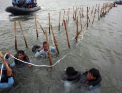 KKP dan Pemprov Banten Lanjutkan Pembongkaran Sisa Pagar Laut di Perairan Tangerang