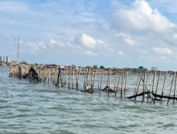 DPR Desak Pemerintah Tangkap Beking Pembangunan Pagar Laut di Tangerang